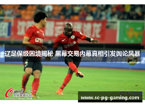 辽足保级困境揭秘 黑幕交易内幕真相引发舆论风暴