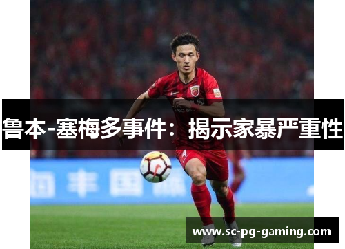 鲁本-塞梅多事件:揭示家暴严重性 鲁本-塞梅多事件:揭示家暴严重性