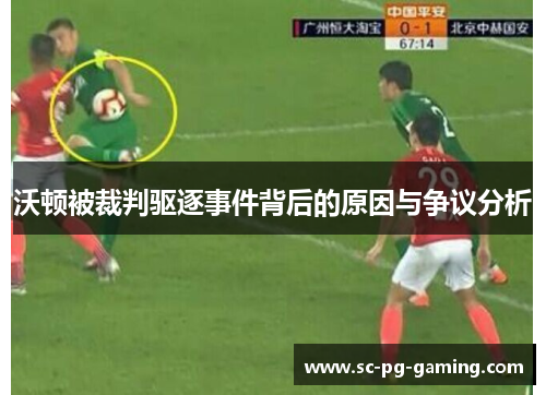 沃顿被裁判驱逐事件背后的原因与争议分析