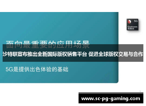 沙特联宣布推出全新国际版权销售平台 促进全球版权交易与合作 沙特联宣布推出全新国际版权销售平台 促进全球版权交易与合作